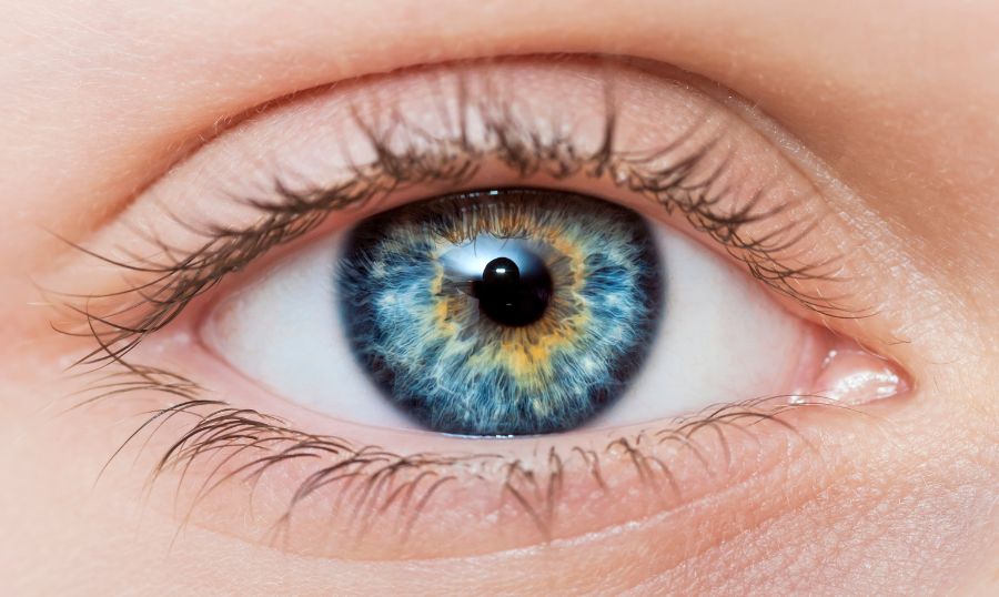Eyes — Insights & Intuition